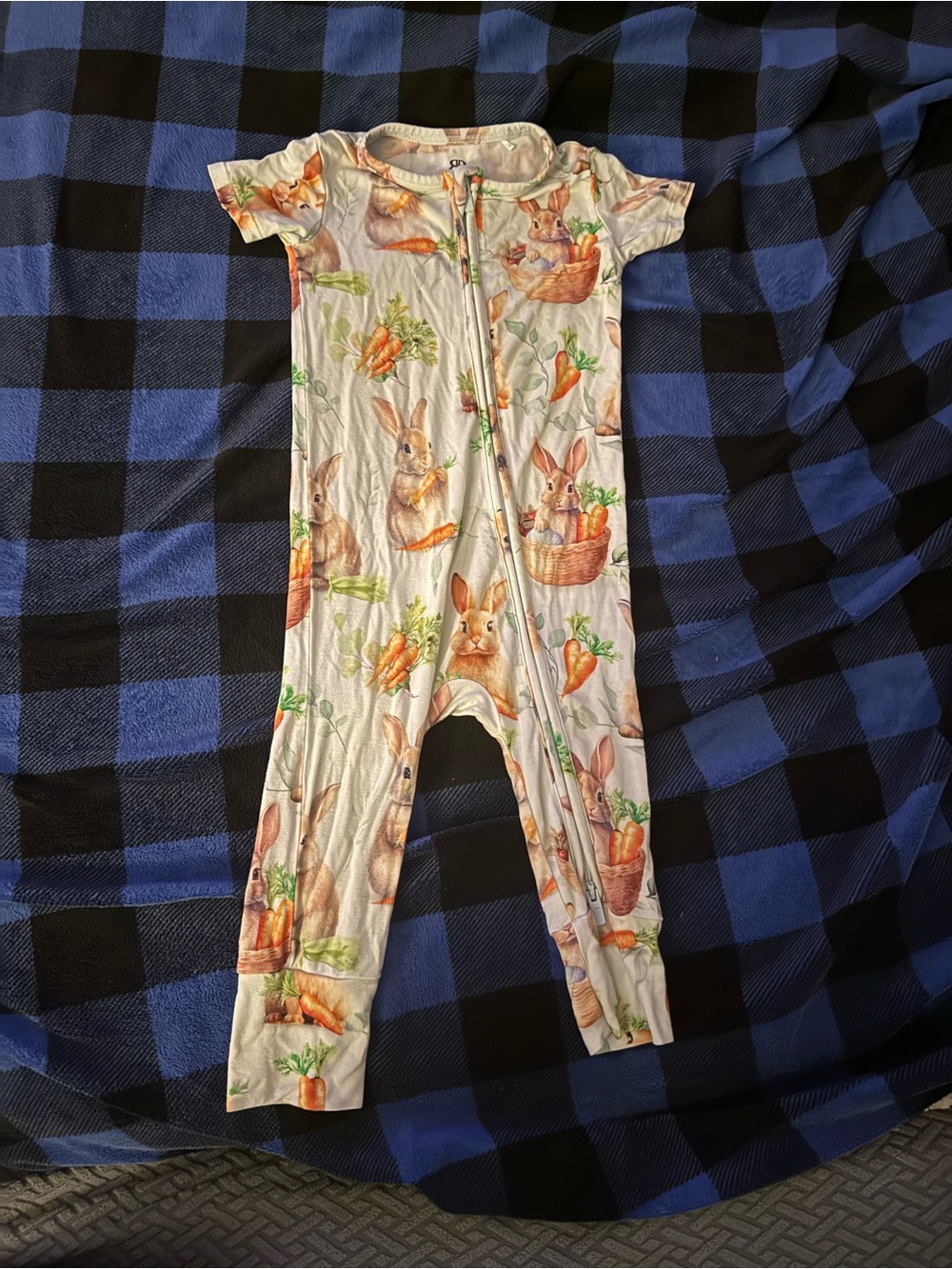 Bums & Roses 9-12months Whimsical Bunny & Carrot